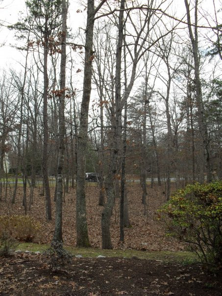 Rivanna Trails-夏洛茨维尔必去景点