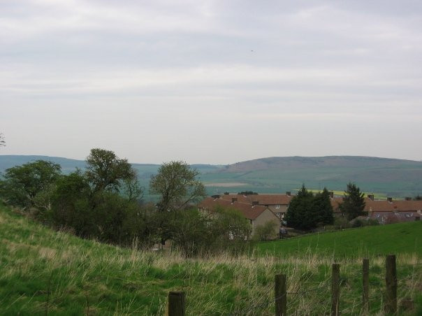 Cheviot Hills-Wooler必去景点