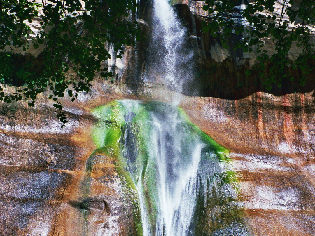 Calf Creek Falls Recreation Area景点图片