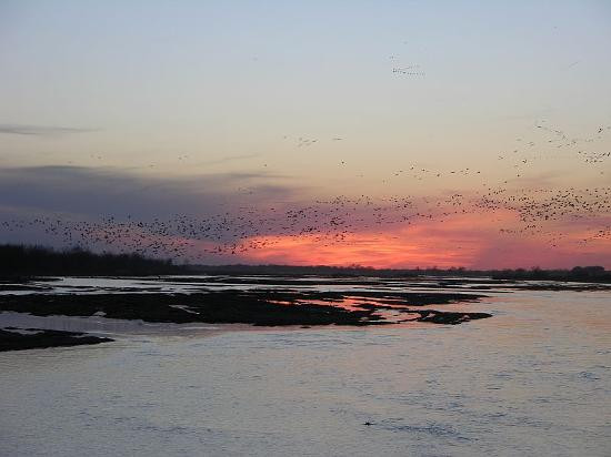 Audubon's Rowe Sanctuary景点图片