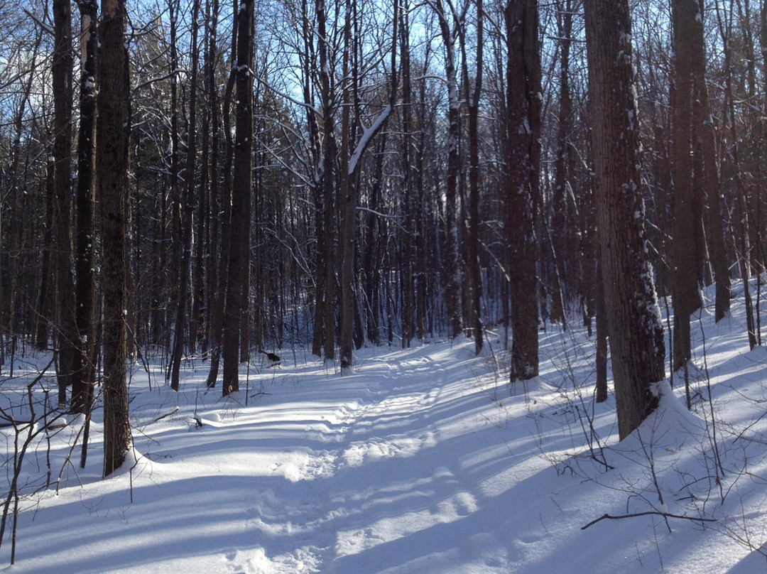 Ganaraska Forest-Campbellcroft必去景点