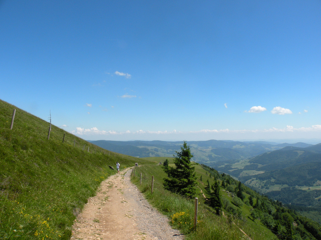 Feldberg-菲尔德山必去景点