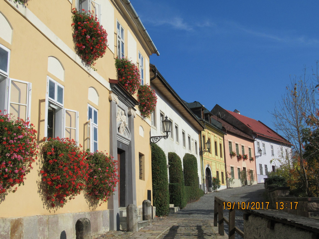 Ruzova street景点图片