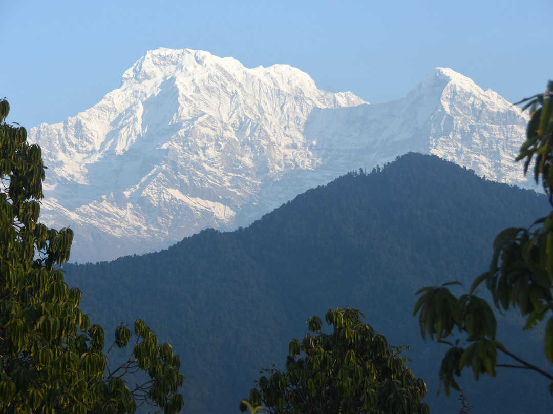 Dhaulagiri View Hotel