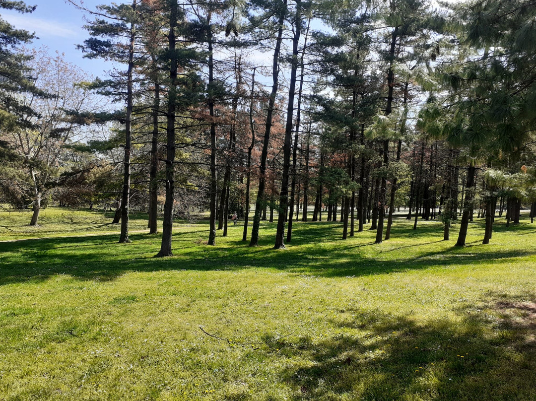 Bosco di Legnano (Parco Castello)景点图片