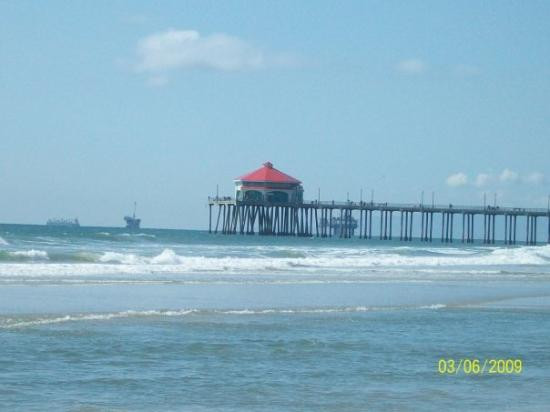 Huntington Dog Beach-亨廷顿海滩必去景点