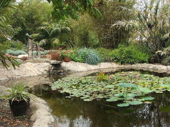 San Diego Botanic Garden-恩西尼塔斯必去景点
