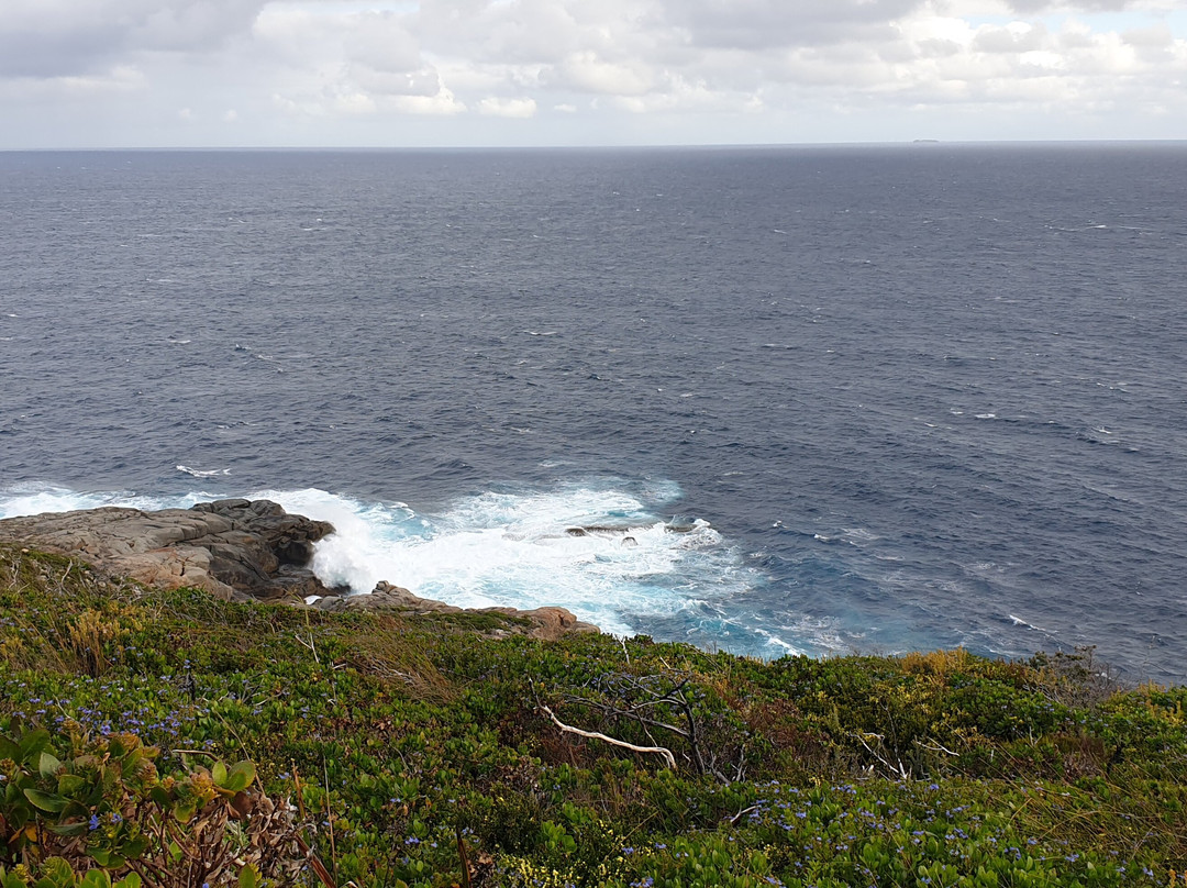 The Blow Holes-奥尔巴尼必去景点