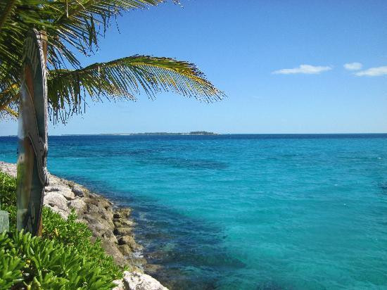 Dolphin Encounters-拿骚必去景点