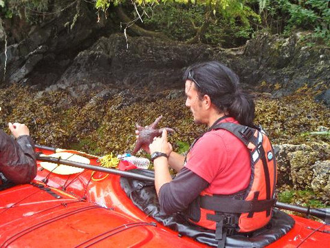 Black Bear Kayaking-托菲诺必去景点