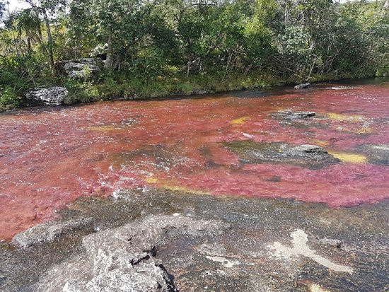 Canocristales_la_macarena-比亚维森西奥必去景点