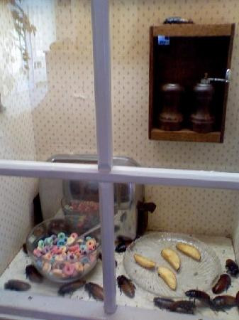 Red River Zoo-法戈必去景点