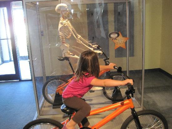 Jasmine Moran Children's Museum-Seminole必去景点