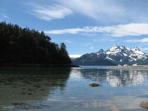 Sunny Cove Sea Kayaking-苏厄德必去景点