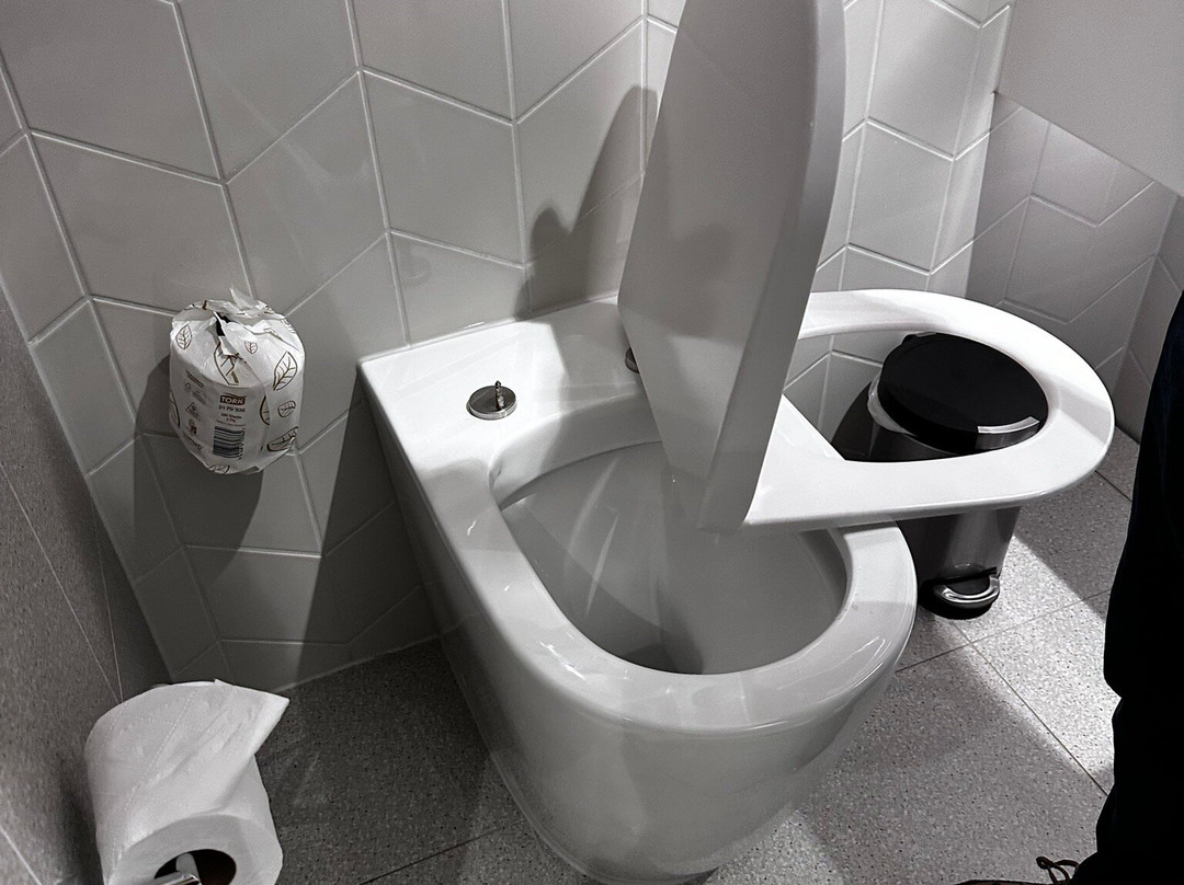 悉尼麦格理公园智选假日酒店主图