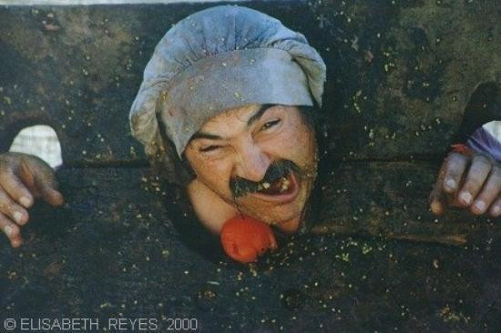 Valhalla at Lake Tahoe-南太浩湖必去景点