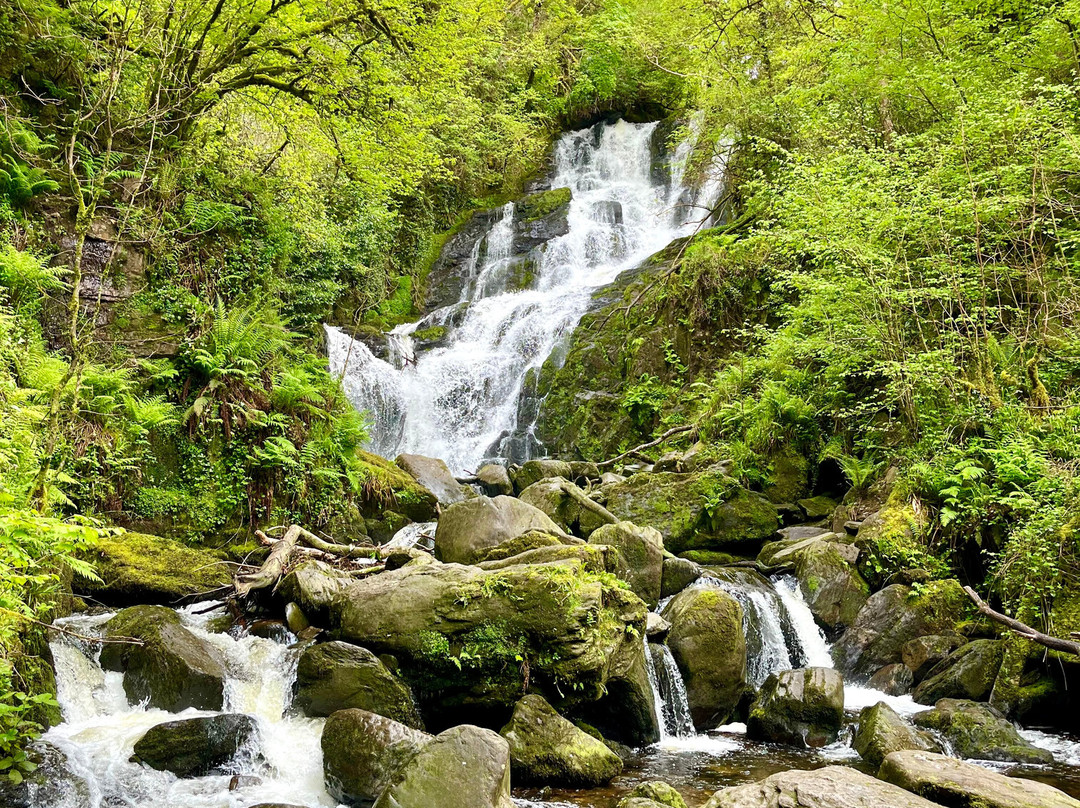 Walk With Me-基拉尼必去景点
