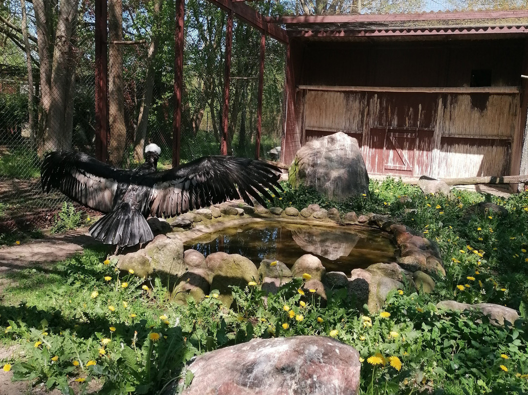 Vogelpark Niendorf景点图片
