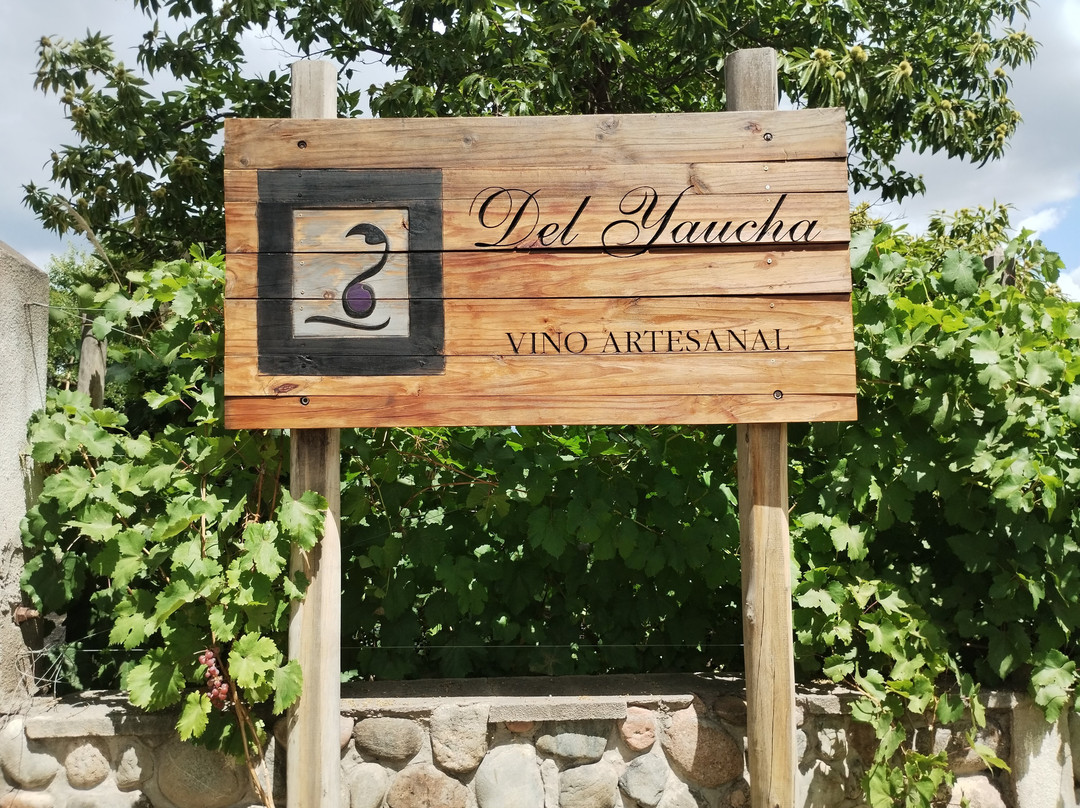 Del Yaucha, vinos artesanales-La Consulta必去景点