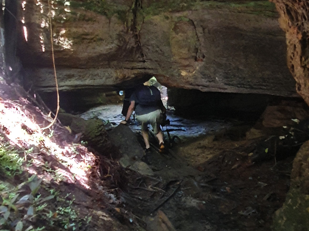 Amazon Green Island tour-Novo Airao必去景点