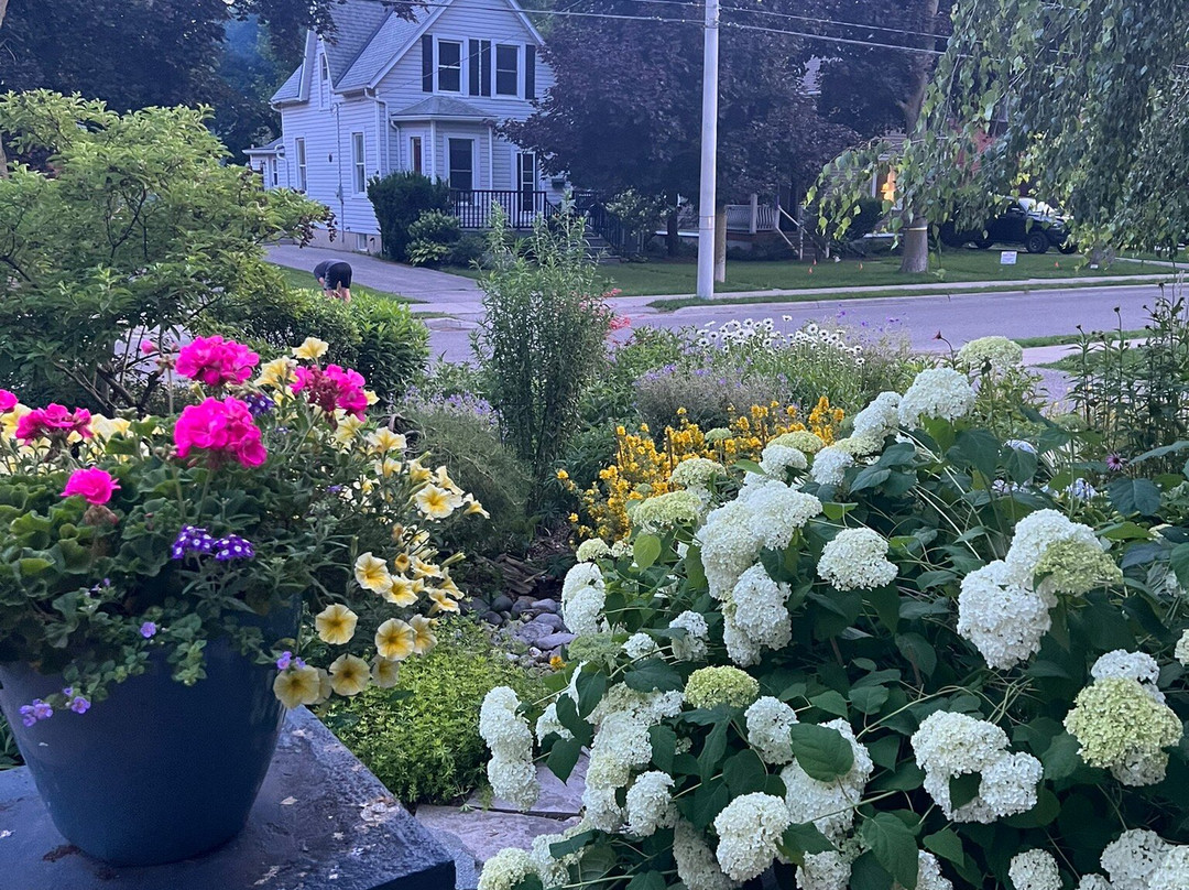 Hatfield House on Hibernia B and  B主图