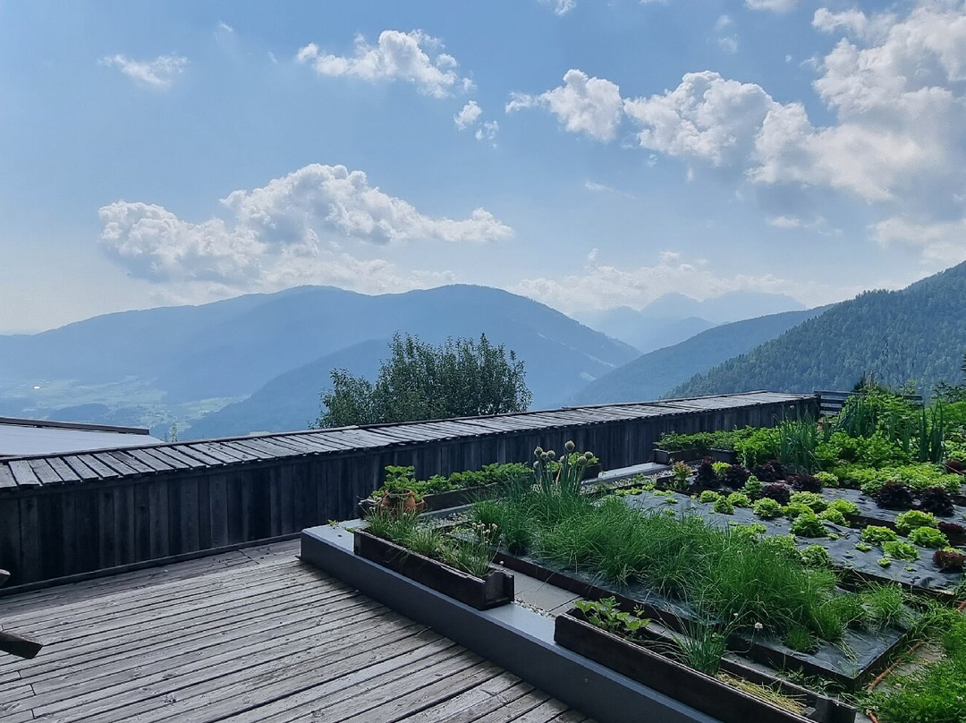 Berggasthof Häusler主图