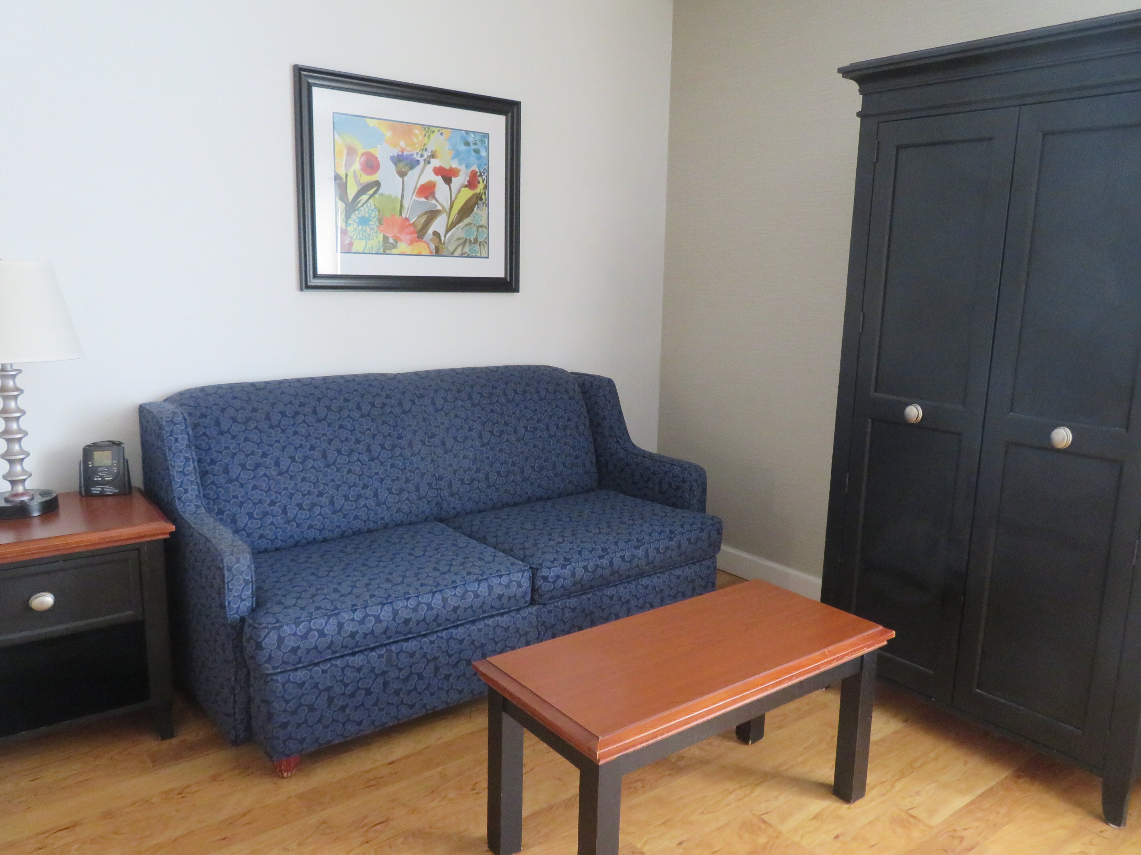 DoubleTree by Hilton Hotel Buffalo - Amherst-客卧