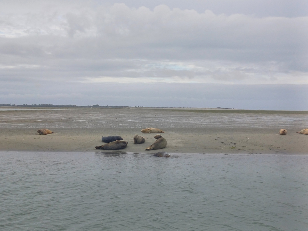 Chichester Harbour Water Tours景点图片