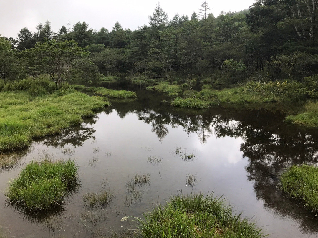 Numappara Marshland-那须盐原市必去景点