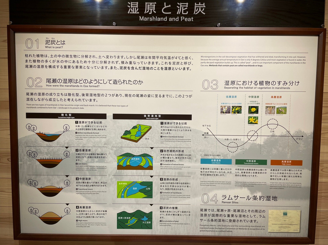 Ozenuma Visitor Center景点图片