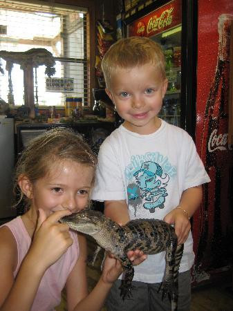 Wild Willy's Airboat Tours-圣克劳德必去景点