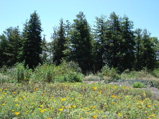 Shipley Nature Center-亨廷顿海滩必去景点
