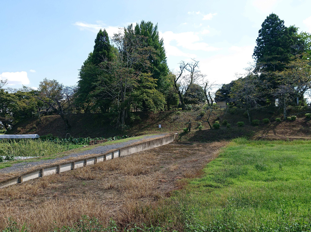 Yukijo Castle Site Park-结城市必去景点