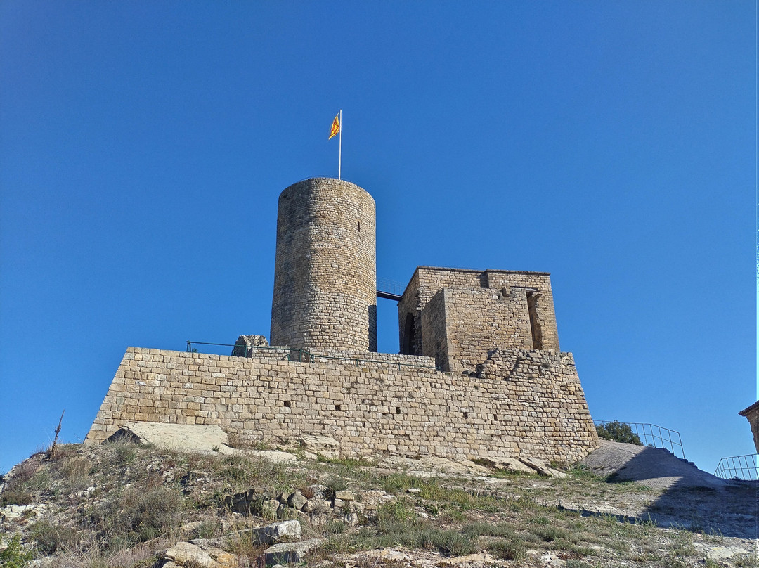 Castell de Boixadors景点图片