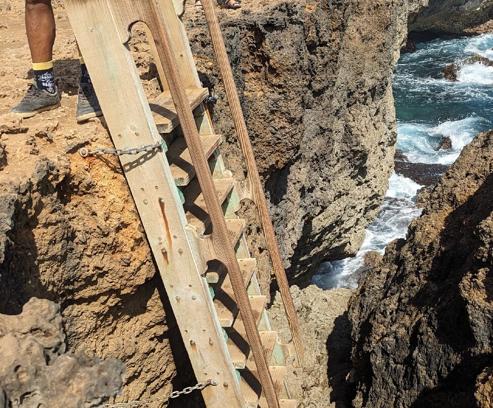 Aruba Go Cherry ATV Tours & More-Paradera必去景点