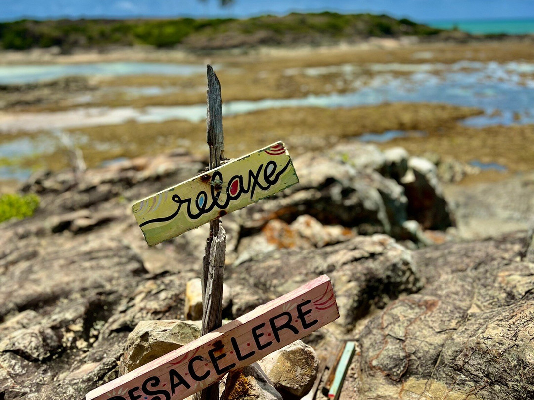 Santo Aleixo Tour-Sirinhaem必去景点