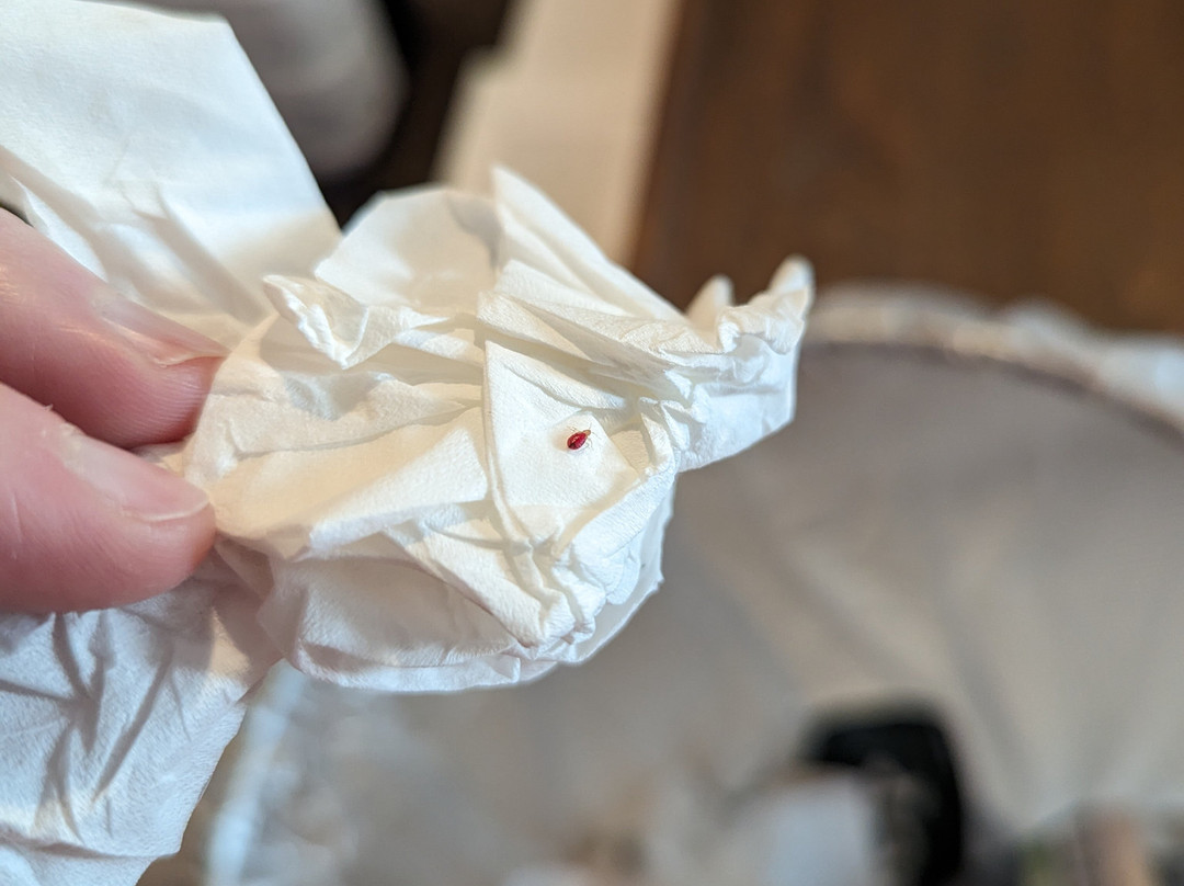 SpringHill Suites by Marriott Stillwater主图