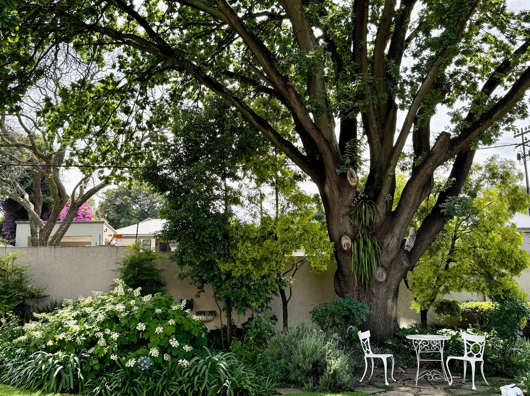 Leighwood Lodge主图