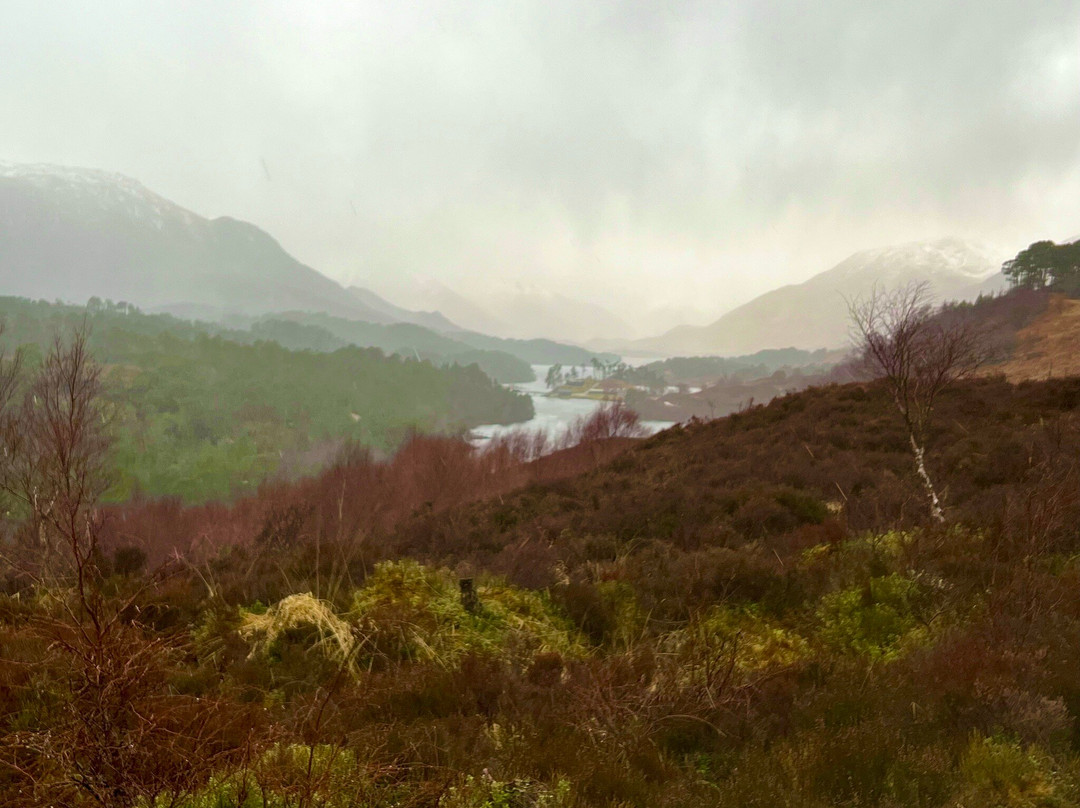 Glen Affric National Nature Reserve景点图片