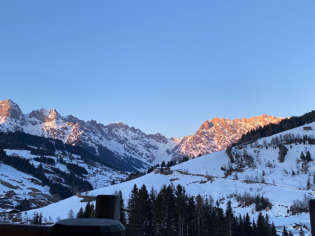 Premium Chalets Maria Alm