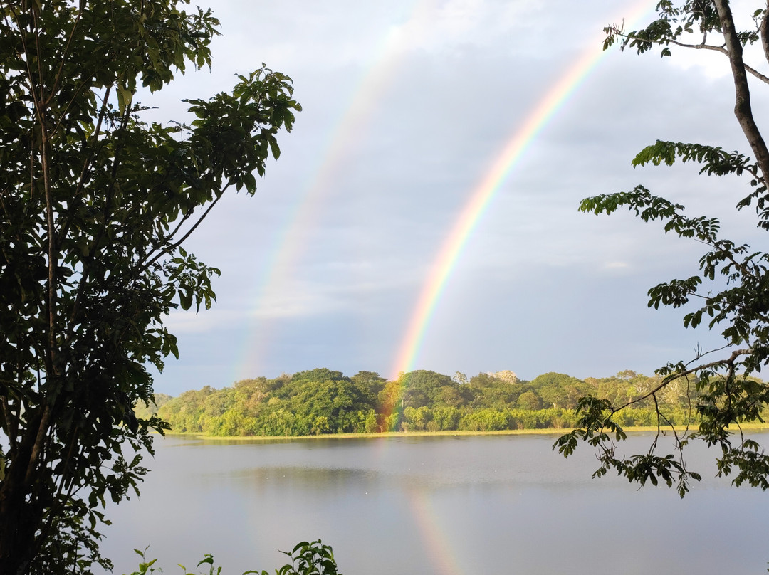 Conexion-Amazonas Puerto Nariño景点图片