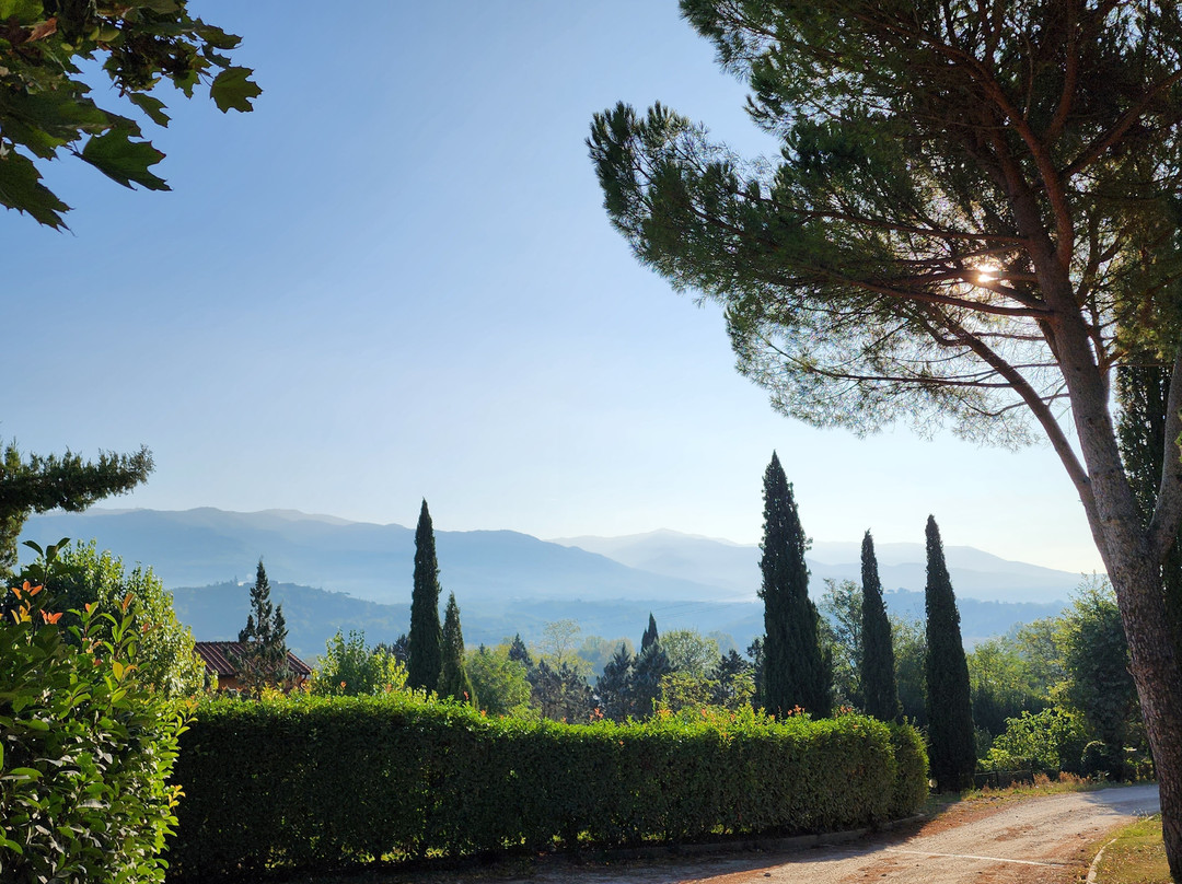 Villa Torre Il Palagio-巴尔贝里诺迪穆杰洛必去景点