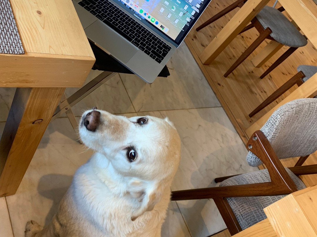 代德马蒂尼亚酒店主图