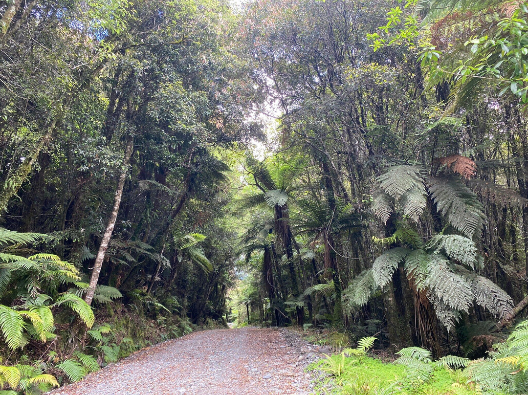 Callery Gorge Walk景点图片