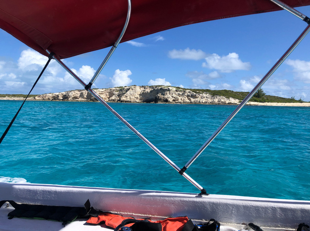 Salt Cay Divers-Salt Cay必去景点