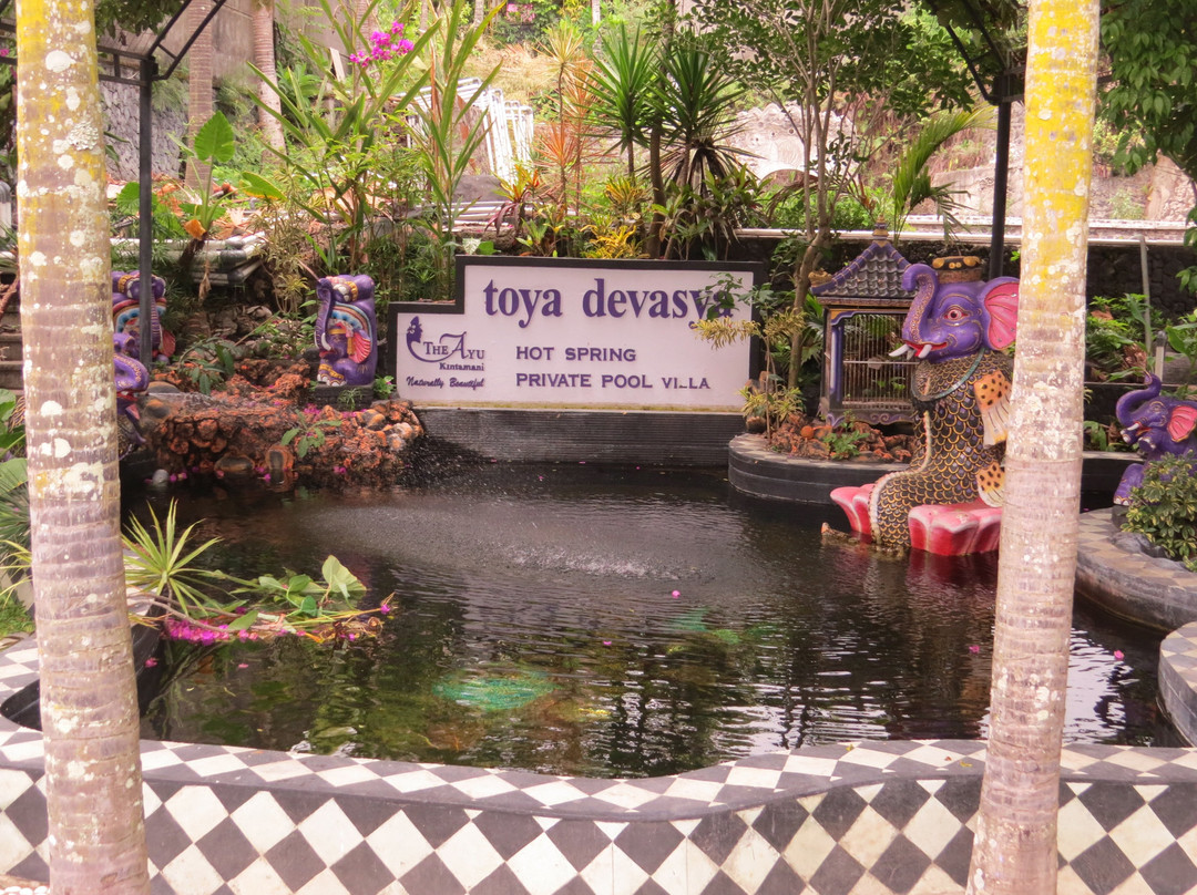 The Ayu Kintamani Villas主图