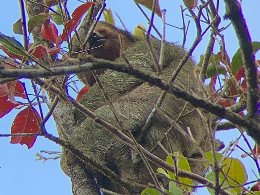 Jungle Life Costa Rica-Bijagua de Upala必去景点