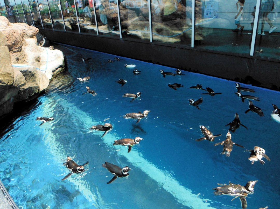 Joetsu Aquarium Umigatari景点图片