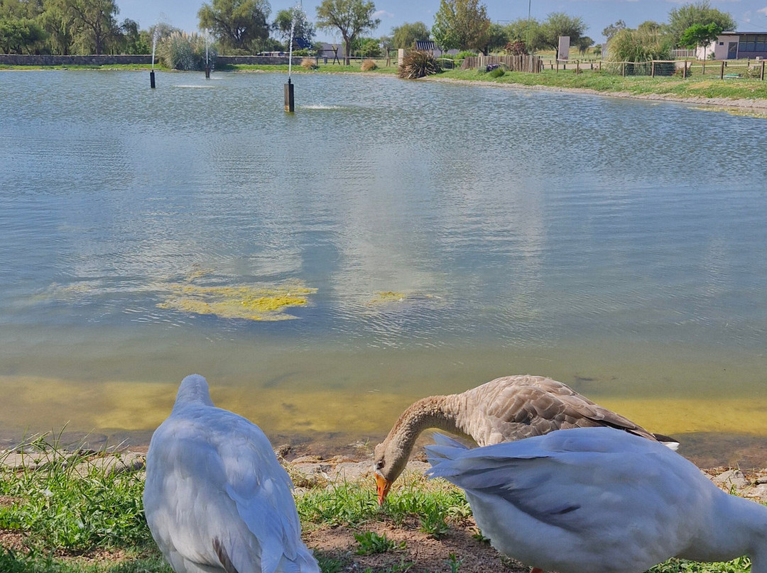 阿米瑞安圣卢宜公园酒店主图