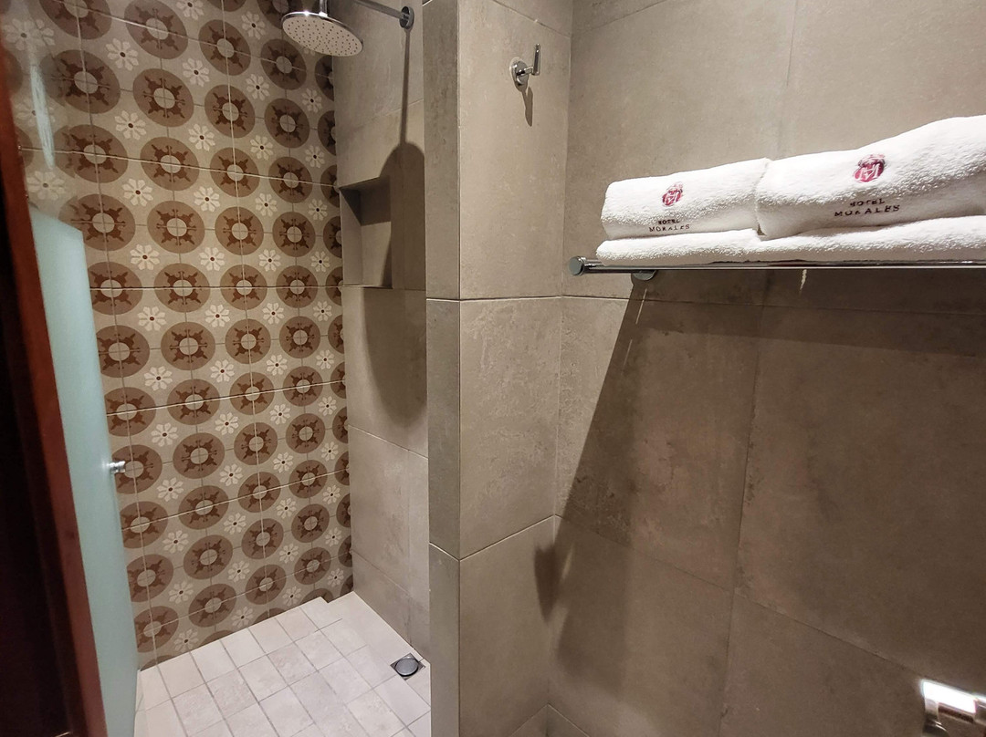 莫拉莱斯历史及殖民地市中心酒店主图